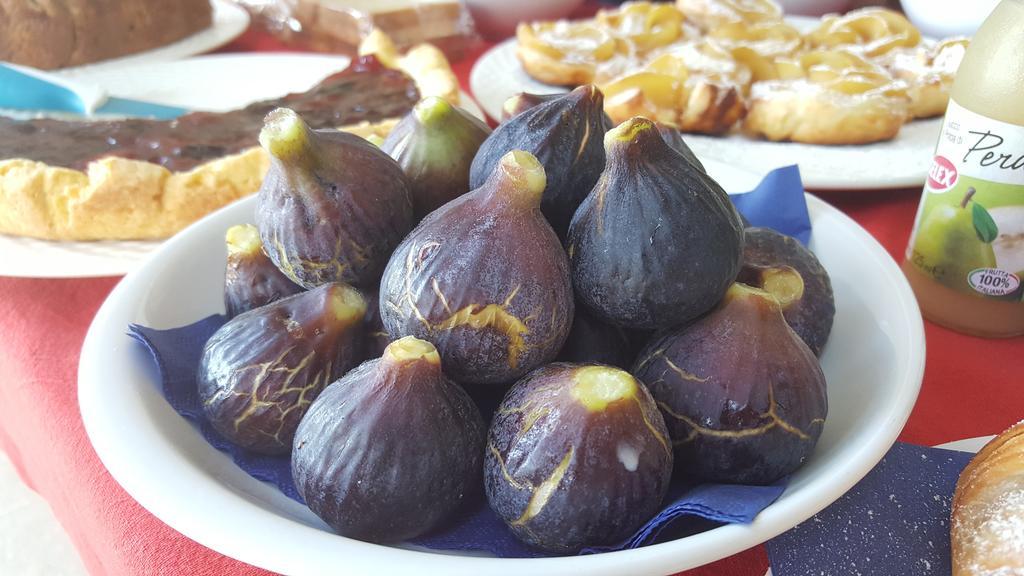 Vallebona Aurivuヴィラ エクステリア 写真